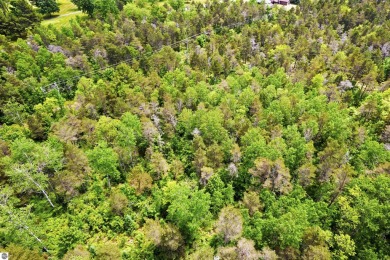 Discover 1.7 acres of beautifully wooded land, conveniently on Lakes of the North Deer Run Golf Course in Michigan - for sale on GolfHomes.com, golf home, golf lot