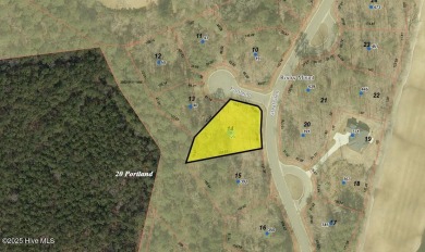 Only 37 lots remain in Section 4! This LARGE .51 acre homesite on The Golf Club At Rocky Mount in North Carolina - for sale on GolfHomes.com, golf home, golf lot