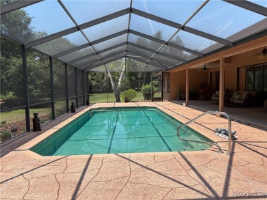 So many extra features in this custom one-of-a kind, 4 bedroom 2 on Sugarmill Woods Golf and Country Club in Florida - for sale on GolfHomes.com, golf home, golf lot