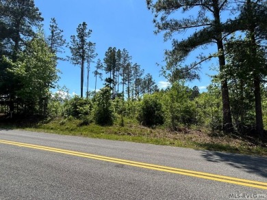 Discover the perfect blend of tranquility & recreational living on Lake Gaston Golf Club in Virginia - for sale on GolfHomes.com, golf home, golf lot