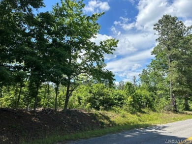 Discover the perfect blend of tranquility & recreational living on Lake Gaston Golf Club in Virginia - for sale on GolfHomes.com, golf home, golf lot