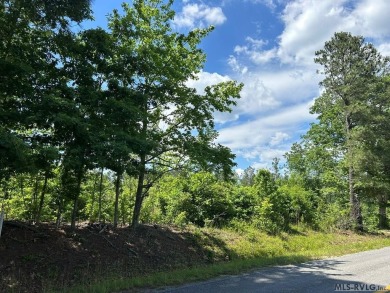 Discover the perfect blend of tranquility & recreational living on Lake Gaston Golf Club in Virginia - for sale on GolfHomes.com, golf home, golf lot