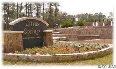 Brand New Quality Built Construction in The Pines at Citrus on Citrus Springs Country Club in Florida - for sale on GolfHomes.com, golf home, golf lot