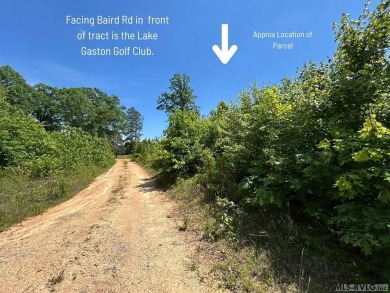 Discover the perfect blend of tranquility & recreational living on Lake Gaston Golf Club in Virginia - for sale on GolfHomes.com, golf home, golf lot