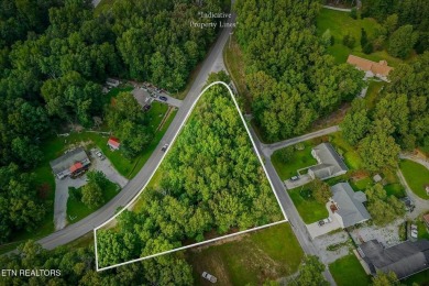 Looking for the perfect spot to build your future home? This on Lake Tansi Village Country Club in Tennessee - for sale on GolfHomes.com, golf home, golf lot