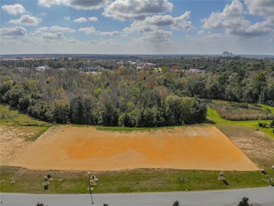 A Deluxe, Oversized 83' Wide Conservation Lot with a on Reunion Resort Golf Course in Florida - for sale on GolfHomes.com, golf home, golf lot