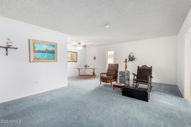 Great retirement home in Sun City! Well maintained Gemini home on Sun City Lakes West and East in Arizona - for sale on GolfHomes.com, golf home, golf lot