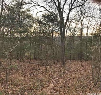 Two undeveloped, wooded lots 2 blocks from Lake Sequoyah in on Cherokee Village North Course in Arkansas - for sale on GolfHomes.com, golf home, golf lot