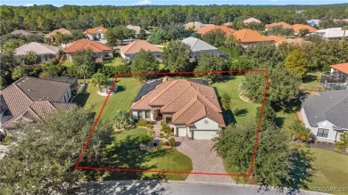 Incredible Savings on this Gorgeous Dali Style Home complete on Skyview At Terra Vista Golf and Country Club in Florida - for sale on GolfHomes.com, golf home, golf lot