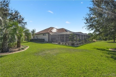 Incredible Savings on this Gorgeous Dali Style Home complete on Skyview At Terra Vista Golf and Country Club in Florida - for sale on GolfHomes.com, golf home, golf lot