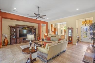 Incredible Savings on this Gorgeous Dali Style Home complete on Skyview At Terra Vista Golf and Country Club in Florida - for sale on GolfHomes.com, golf home, golf lot