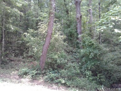 Spacious 1.69 Offshore lot in Great Creek Landing at Lake Gaston on Tanglewood Shores Golf Club in Virginia - for sale on GolfHomes.com, golf home, golf lot