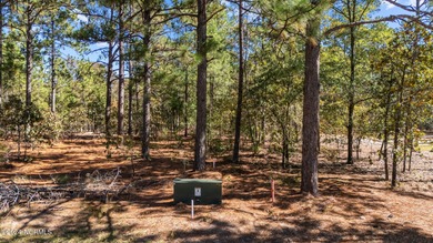 MAKE AN OFFER! NOW OFFERING SELLER FINANCING. A rare and unique on Seven Lakes Country Club in North Carolina - for sale on GolfHomes.com, golf home, golf lot