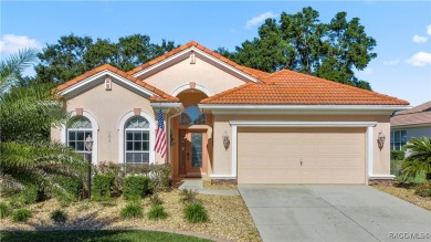 Amazing Savings - Don't Miss It - You cannot build it for this on Skyview At Terra Vista Golf and Country Club in Florida - for sale on GolfHomes.com, golf home, golf lot