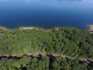 This is the best remaining LAKEFRONT lot in Diamond Bluff!! on  in Arkansas - for sale on GolfHomes.com, golf home, golf lot