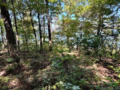 This is the best remaining LAKEFRONT lot in Diamond Bluff!! on  in Arkansas - for sale on GolfHomes.com, golf home, golf lot