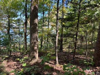 This is the best remaining LAKEFRONT lot in Diamond Bluff!! on  in Arkansas - for sale on GolfHomes.com, golf home, golf lot