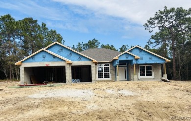 Brand New Quality Built Construction in Desirable Pine Ridge on Pine Ridge Community Golf and Country Club in Florida - for sale on GolfHomes.com, golf home, golf lot