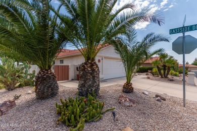 BRAND NEW ROOF comes w/this great home featuring 3 LARGE on Palo Verde Golf and Country Club in Arizona - for sale on GolfHomes.com, golf home, golf lot