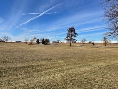 Located on the Blue golf course 6th green, This Cypress Point on The Links at Carillon in Illinois - for sale on GolfHomes.com, golf home, golf lot