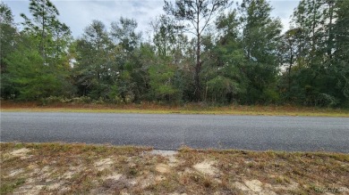 Beautiful HIGH AND DRY Homesite on smooth paved road in the on Citrus Springs Country Club in Florida - for sale on GolfHomes.com, golf home, golf lot