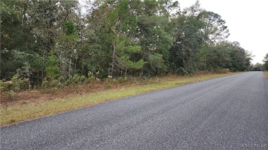 Beautiful HIGH AND DRY Homesite on smooth paved road in the on Citrus Springs Country Club in Florida - for sale on GolfHomes.com, golf home, golf lot