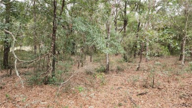 Beautiful HIGH AND DRY Homesite on smooth paved road in the on Citrus Springs Country Club in Florida - for sale on GolfHomes.com, golf home, golf lot