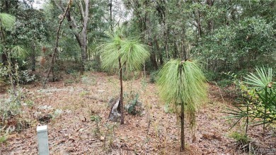 Beautiful HIGH AND DRY Homesite on smooth paved road in the on Citrus Springs Country Club in Florida - for sale on GolfHomes.com, golf home, golf lot