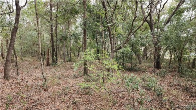 Beautiful HIGH AND DRY Homesite on smooth paved road in the on Citrus Springs Country Club in Florida - for sale on GolfHomes.com, golf home, golf lot