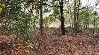 Beautiful HIGH AND DRY Homesite on smooth paved road in the on Citrus Springs Country Club in Florida - for sale on GolfHomes.com, golf home, golf lot