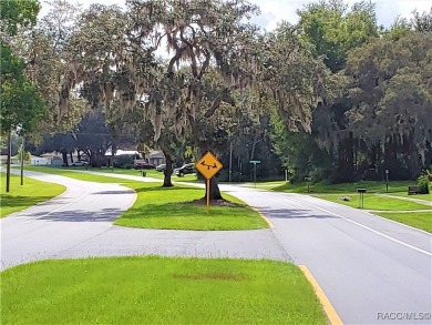 Beautiful HIGH AND DRY Homesite on smooth paved road in the on Citrus Springs Country Club in Florida - for sale on GolfHomes.com, golf home, golf lot