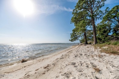 🦩 Prime Vacant Lot in Sanctuary Beach - Your Dream Home on Bay Point Resort Golf Club in Florida - for sale on GolfHomes.com, golf home, golf lot