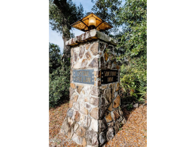 🦩 Prime Vacant Lot in Sanctuary Beach - Your Dream Home on Bay Point Resort Golf Club in Florida - for sale on GolfHomes.com, golf home, golf lot