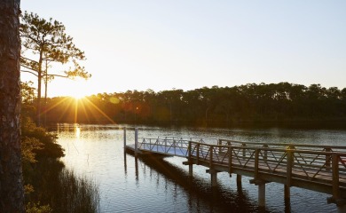 Discover refined coastal living in this stunning Hampton plan by on Origins Golf Club in Florida - for sale on GolfHomes.com, golf home, golf lot