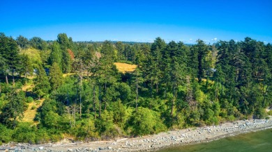 Build your dream home on this 5-acre waterfront property on Point Roberts Golf and Country Club in Washington - for sale on GolfHomes.com, golf home, golf lot