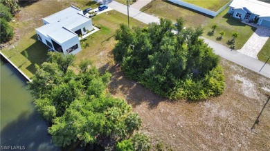Discover waterfront bliss at 1908 NW 28th PL in Cape Coral, FL! on Coral Oaks Golf Course in Florida - for sale on GolfHomes.com, golf home, golf lot
