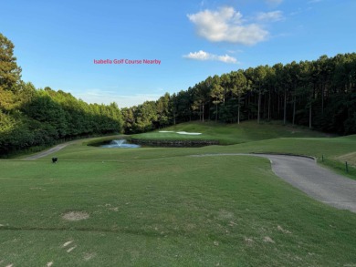 PONCE DE LEON GOLF COURSE FOR ONLY $20,000...LAKE BALBOA NEARBY on Ponce De Leon Golf Course in Arkansas - for sale on GolfHomes.com, golf home, golf lot