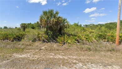 Incredible opportunity to own a .24-acre lot in a desirable and on Mirror Lakes Golf Club in Florida - for sale on GolfHomes.com, golf home, golf lot