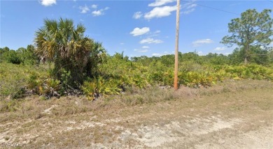 Incredible opportunity to own a .24-acre lot in a desirable and on Mirror Lakes Golf Club in Florida - for sale on GolfHomes.com, golf home, golf lot