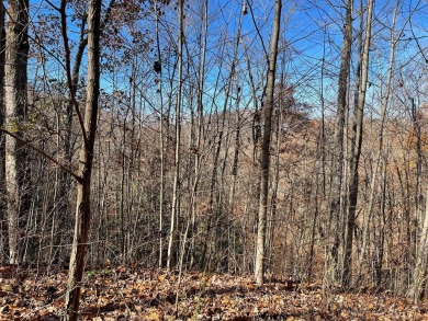 Beautiful Mountain Building Lot with seasonal mountain view on Mountain Harbour Golf Club in North Carolina - for sale on GolfHomes.com, golf home, golf lot