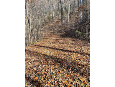 Beautiful Mountain Building Lot with seasonal mountain view on Mountain Harbour Golf Club in North Carolina - for sale on GolfHomes.com, golf home, golf lot