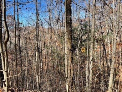 Great building site on large lot within the Mountain Harbour on Mountain Harbour Golf Club in North Carolina - for sale on GolfHomes.com, golf home, golf lot
