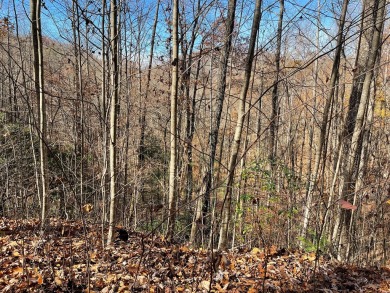 Great building site on large lot within the Mountain Harbour on Mountain Harbour Golf Club in North Carolina - for sale on GolfHomes.com, golf home, golf lot
