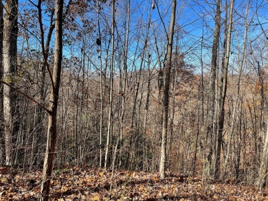 Great building site on large lot within the Mountain Harbour on Mountain Harbour Golf Club in North Carolina - for sale on GolfHomes.com, golf home, golf lot
