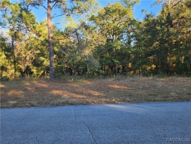 This Vacant Land is ready for your dream home or investment! on Citrus Springs Country Club in Florida - for sale on GolfHomes.com, golf home, golf lot