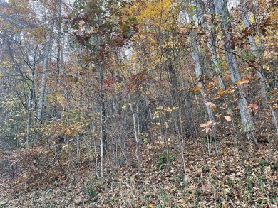 Nice building lot, seasonal mountain views.  Located in Mountain on Mountain Harbour Golf Club in North Carolina - for sale on GolfHomes.com, golf home, golf lot