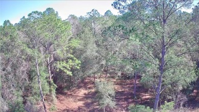 This Vacant Land is ready for your dream home or investment! on Citrus Springs Country Club in Florida - for sale on GolfHomes.com, golf home, golf lot