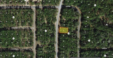 This Vacant Land is ready for your dream home or investment! on Citrus Springs Country Club in Florida - for sale on GolfHomes.com, golf home, golf lot