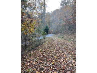 Nice building lot, seasonal mountain views.  Located in Mountain on Mountain Harbour Golf Club in North Carolina - for sale on GolfHomes.com, golf home, golf lot