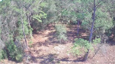 This Vacant Land is ready for your dream home or investment! on Citrus Springs Country Club in Florida - for sale on GolfHomes.com, golf home, golf lot